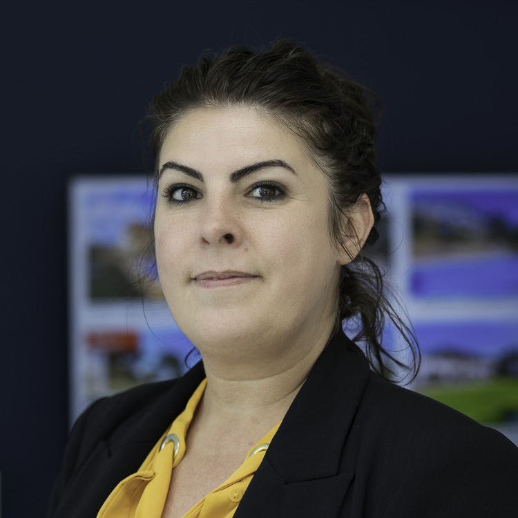 Damlex Realty